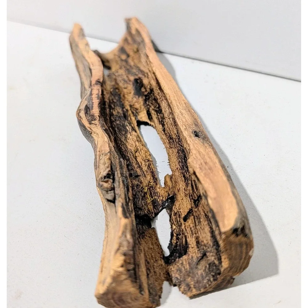 Black Locust Hollow Root Fairy garden or Gemstone Display. 9